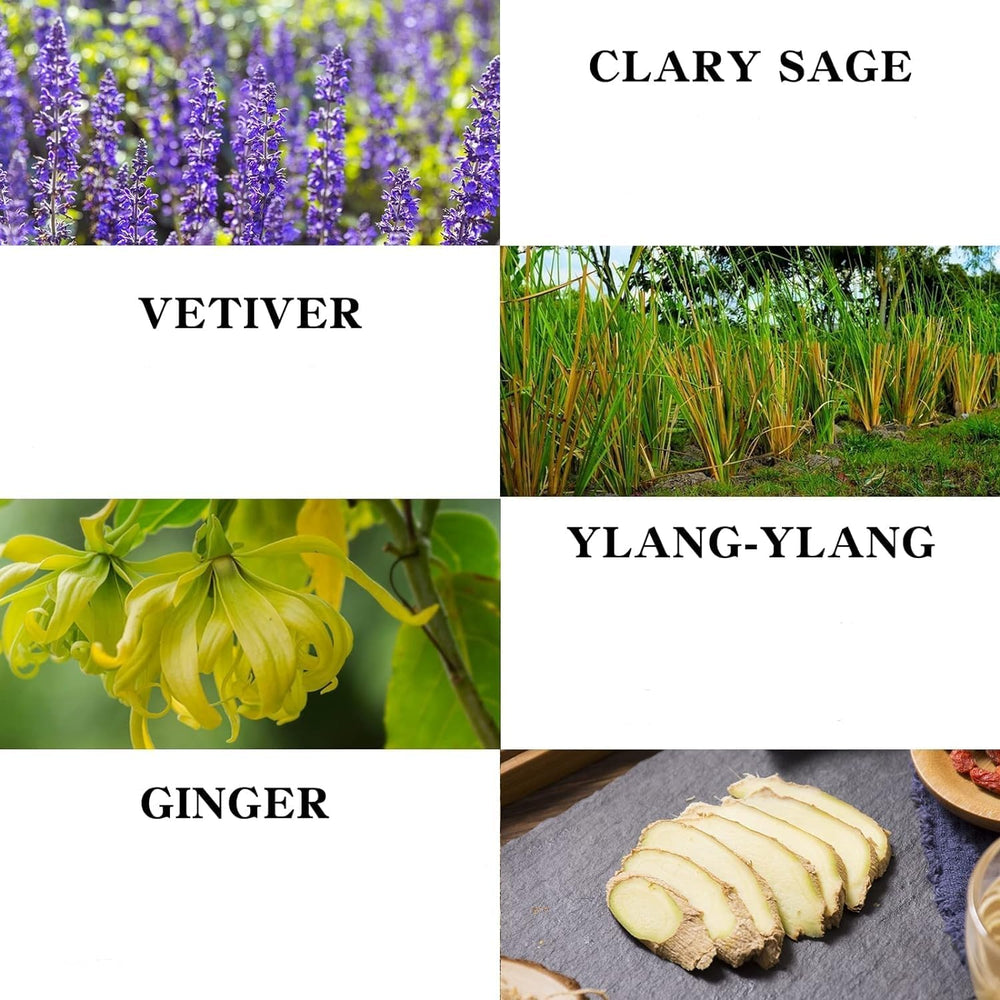 TAEERY Ginger Massage Oil pour shows easy application for smooth massage glide