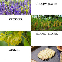 TAEERY Ginger Massage Oil pour shows easy application for smooth massage glide