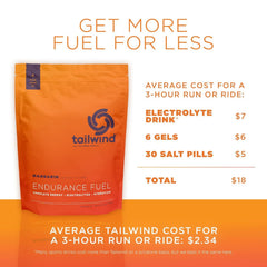 Tailwind Endurance Mandarin Orange flavor delivers refreshing citrus without overpowering sweetness
