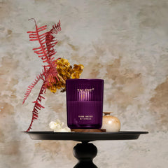 Talent Candles natural soy wax jar emitting clean burn and steady fragrance