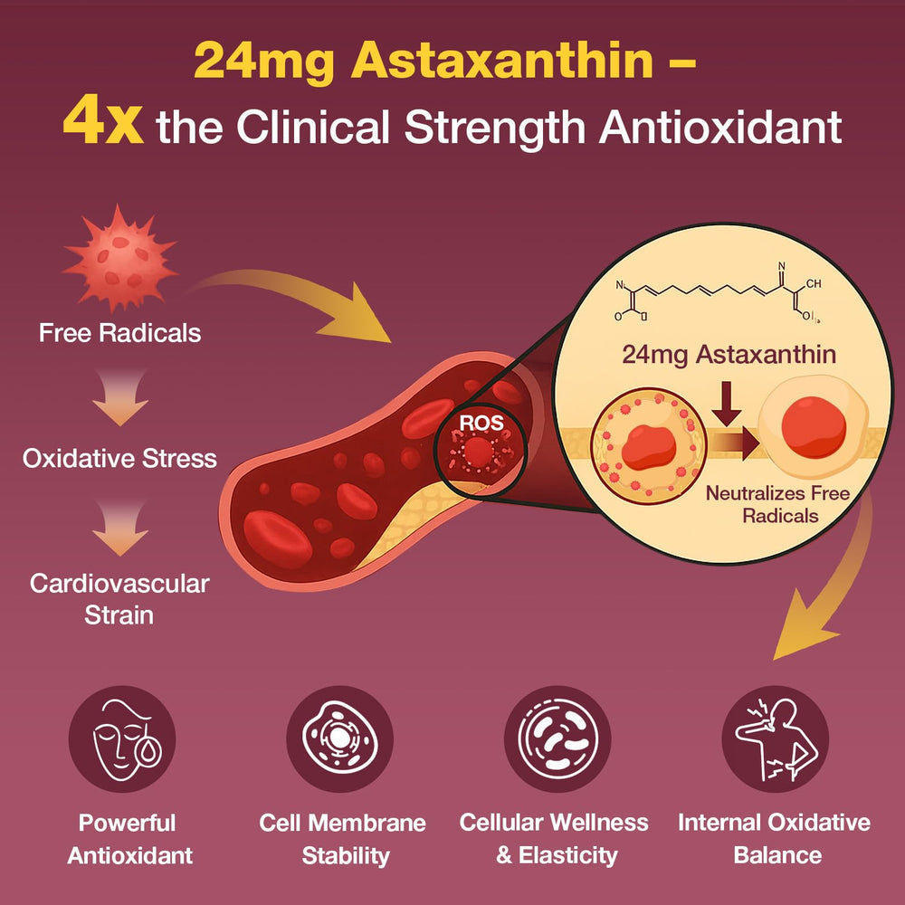 Talyvoriathor CoQ10 astaxanthin softgels, delivering fat-soluble nutrients for vascular health.