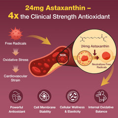 Talyvoriathor CoQ10 and astaxanthin softgels displayed for antioxidant support