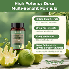 Talyvoriathor plant sterols capsules close-up for absorption support