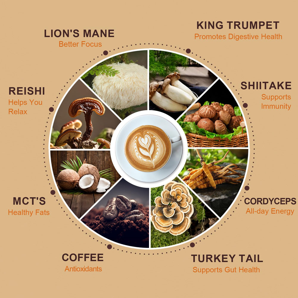 TAOTERS Mushroom Coffee powder dispenser for quick, convenient daily brews.