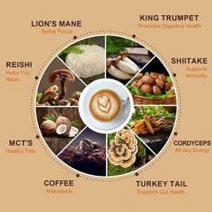 TAOTERS Mushroom Coffee powder dispenser for quick, convenient daily brews.