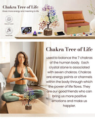 Gift-ready packaging from TATOODAA for gifting