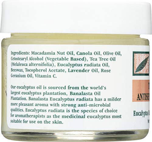 Tea Tree Therapy antiseptic ointment on skin ready for minor irritations