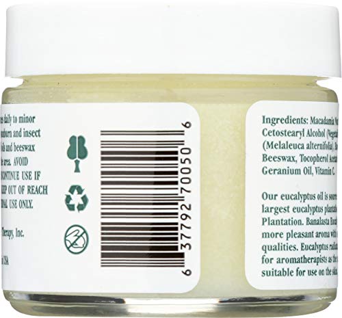 Tea Tree Therapy antiseptic ointment bottle highlights eucalyptus Australian oil for soothing skin.