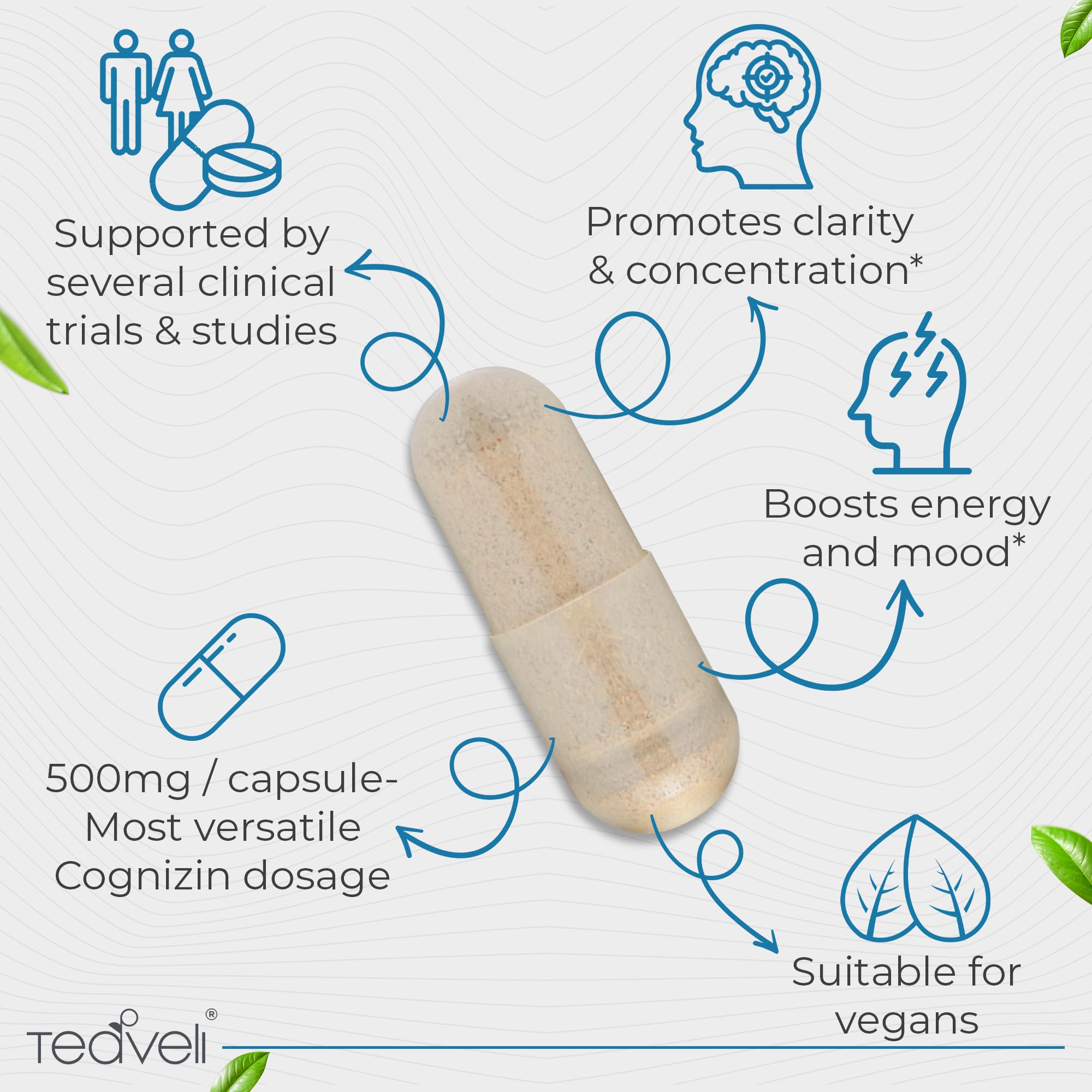 Teaveli Cognizin jar reveals 30 servings for at-home study routines.