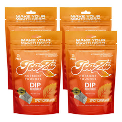 TeaZa spicy cinnamon pouch showing tobacco-free, bold flavor for a kick