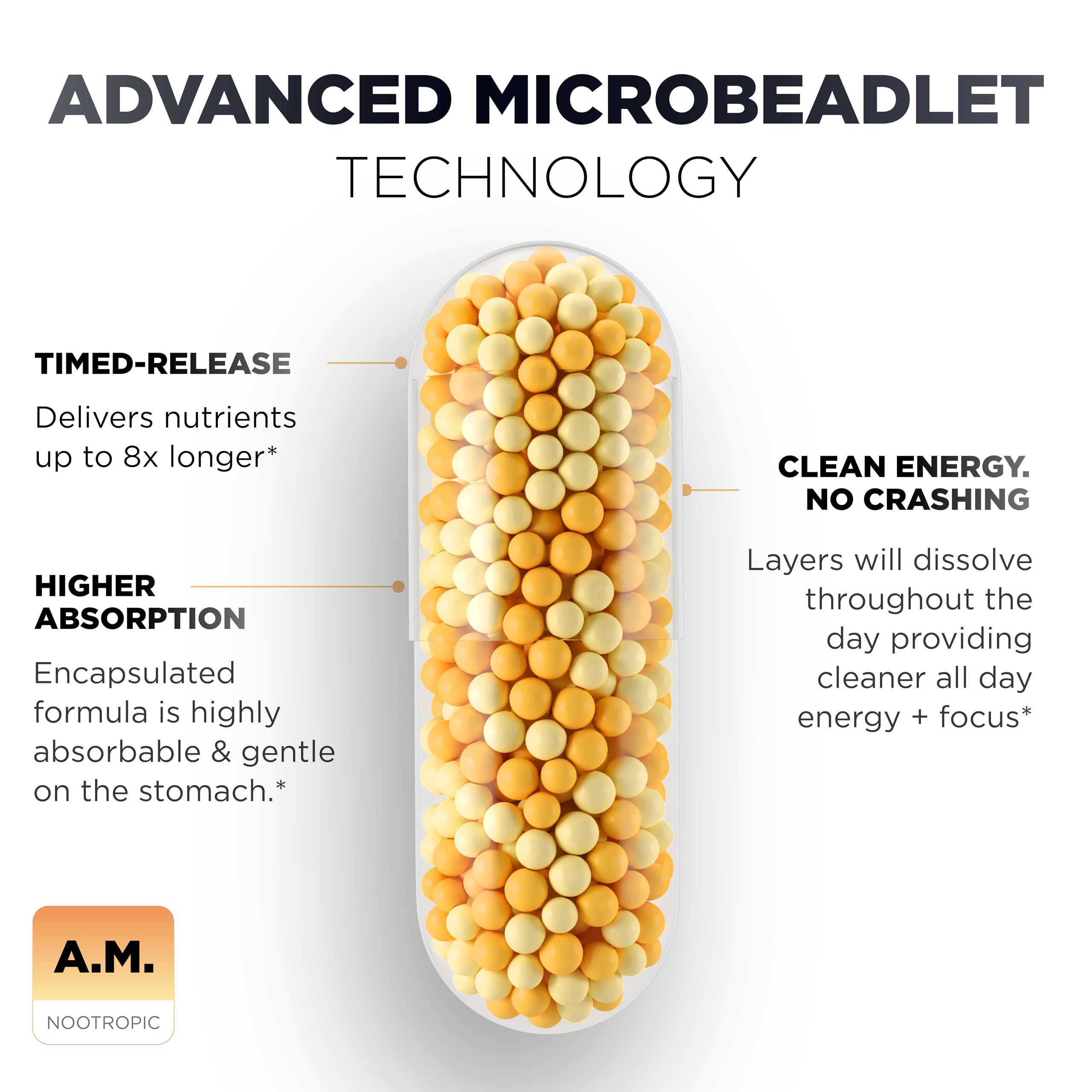 Terra Elmnt AMPM AlphaSize Alpha GPC capsule suggests memory and focus support