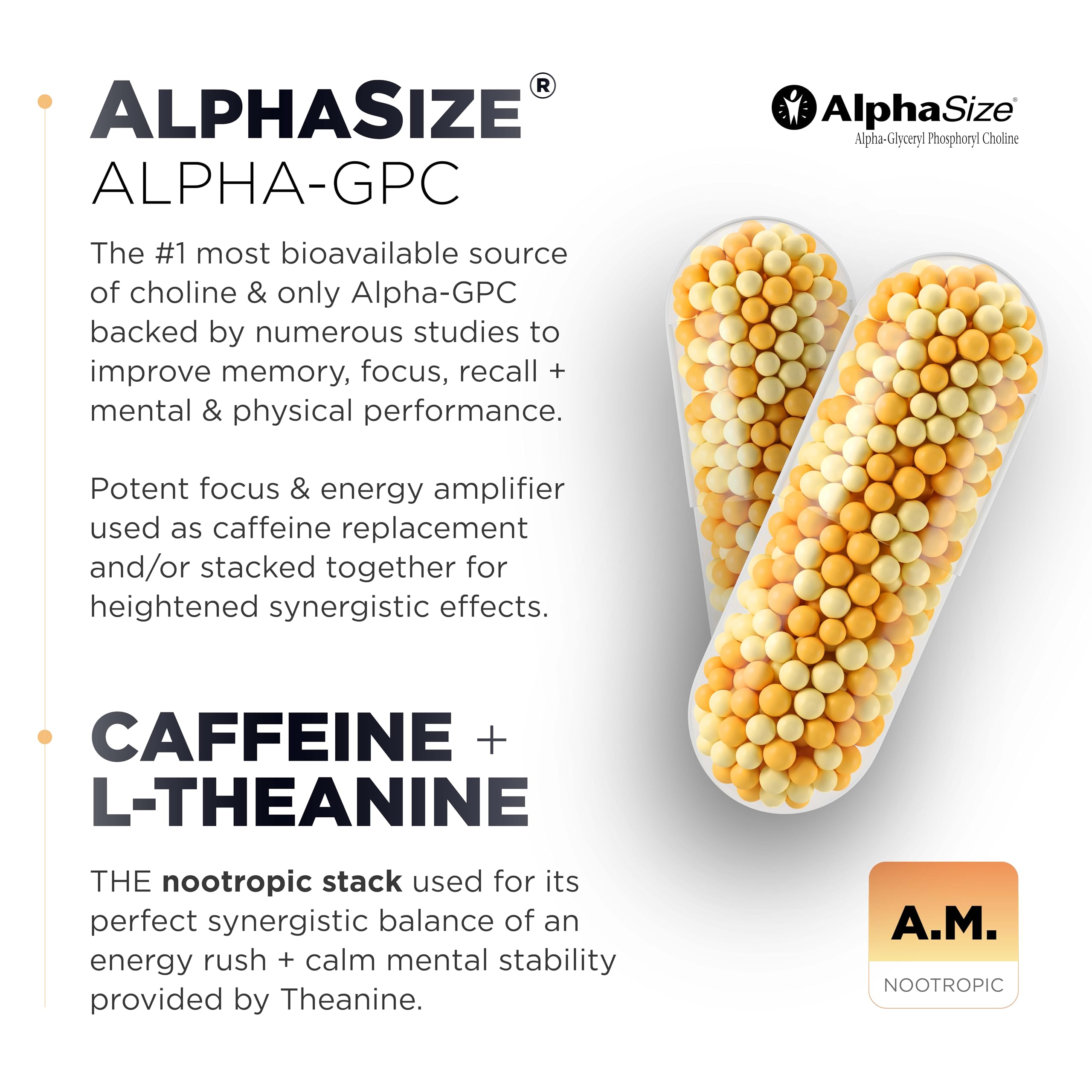 Terra Elmnt AMPM L-Theanine and caffeine blend for daytime energy