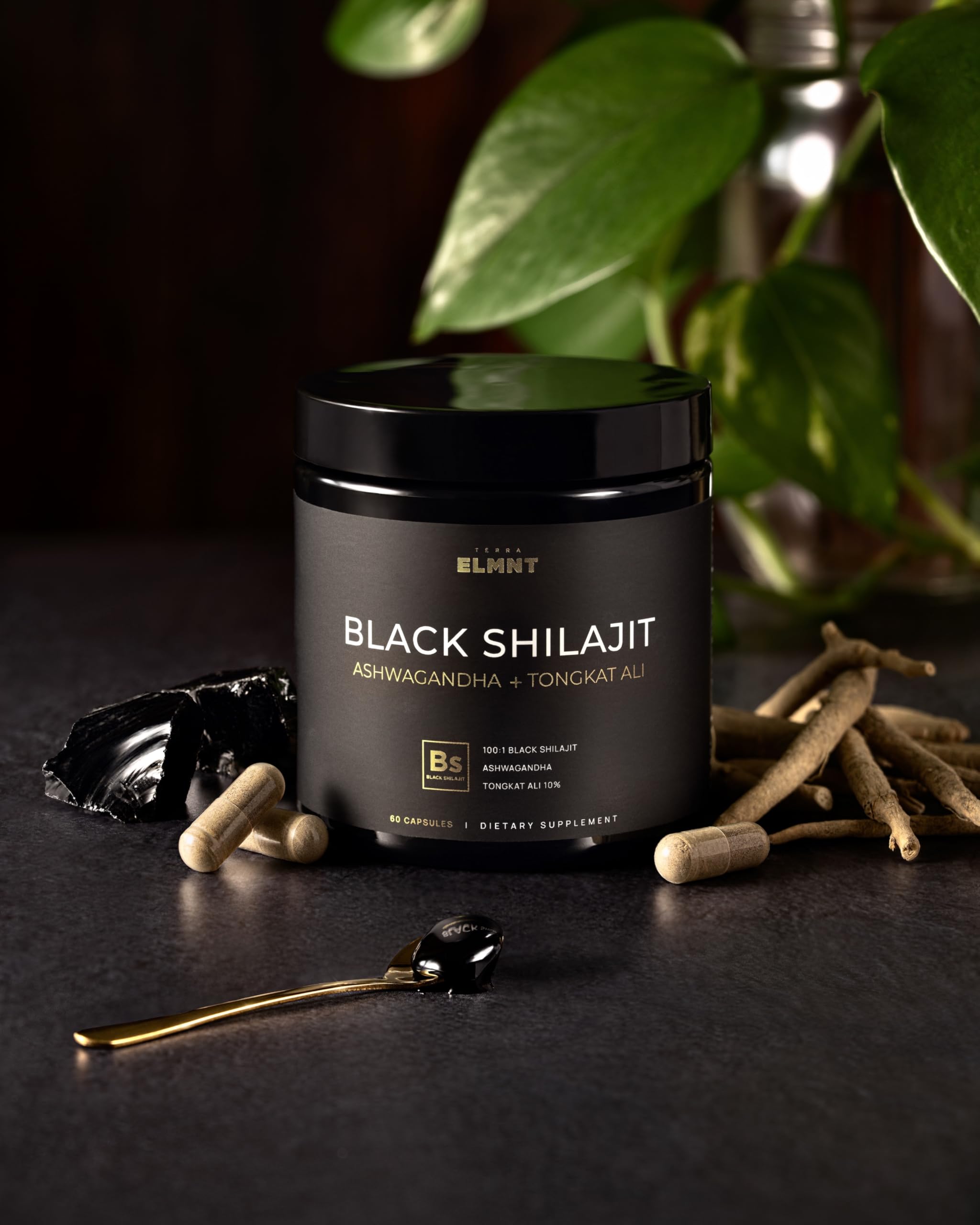 Terra Elmnt Ashwagandha collection with natural roots for Ayurveda heritage.
