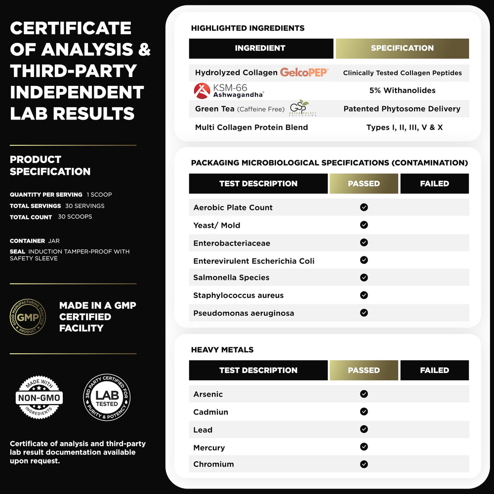 Terra Elmnt Chocolate Collagen Burn ingredients chart shows probiotics and enzymes.