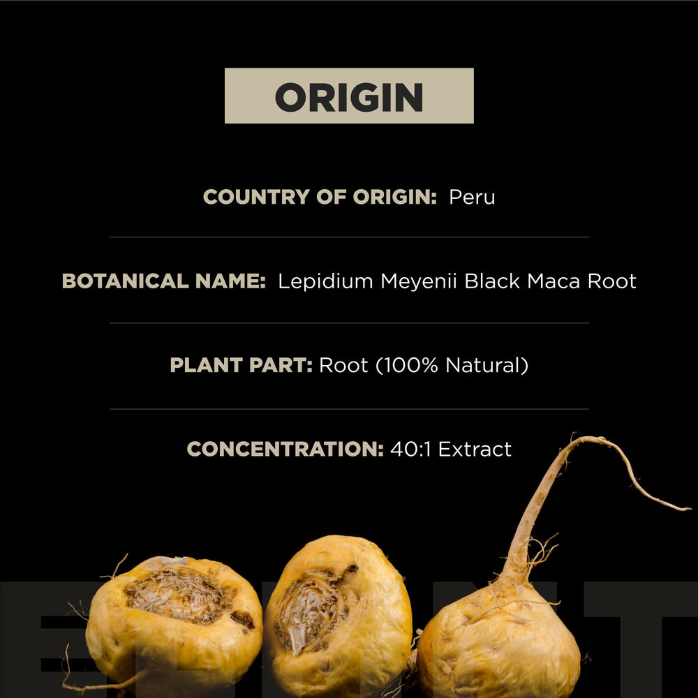 Terra Elmnt Gelatinized Maca capsules aid digestion and potency