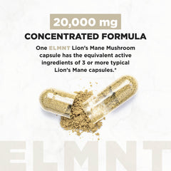 Terra Elmnt Lions Mane extract with 50 percent polysaccharides highlighting potency for focus.