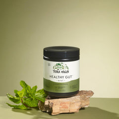 Terra Origin healthy gut packaging closeup highlights premium formulation and non-GMO ingredients.