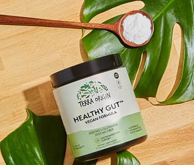 Terra Origin Healthy Gut prebiotic Larix laricina image highlighting gut flora support