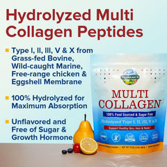 Terranics Multi Collagen Powder unflavored scoop for seamless mixing in drinks