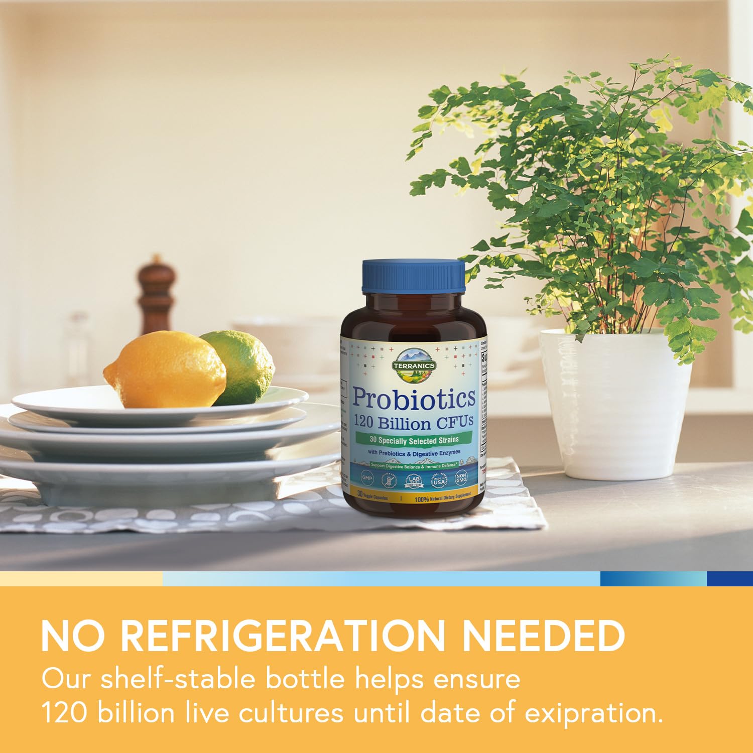 Terranics Probiotics third-party tested label ensures purity and potency