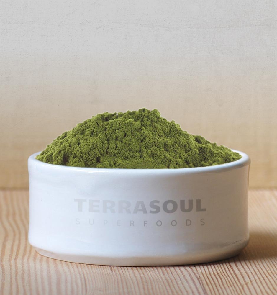 Terrasoul hemp protein powder pouring into a glass for a shake.