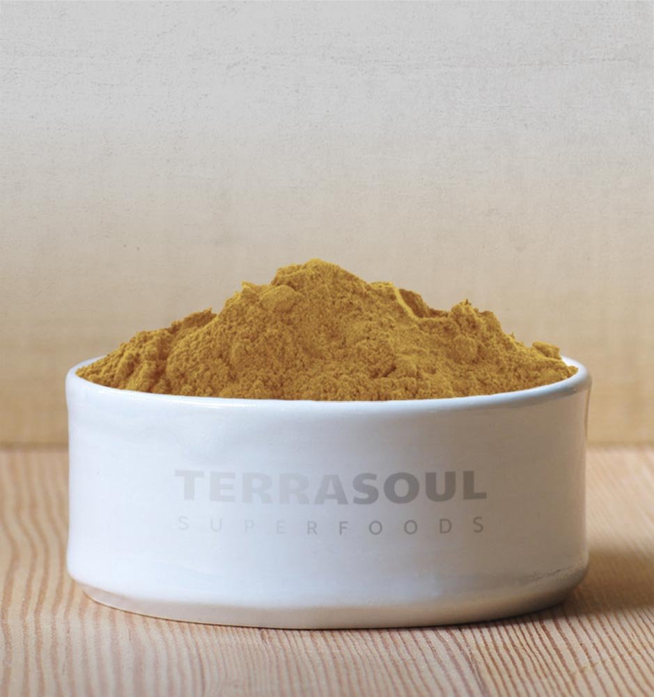 Terrasoul Lions Mane powder scoop ready to blend into smoothies.