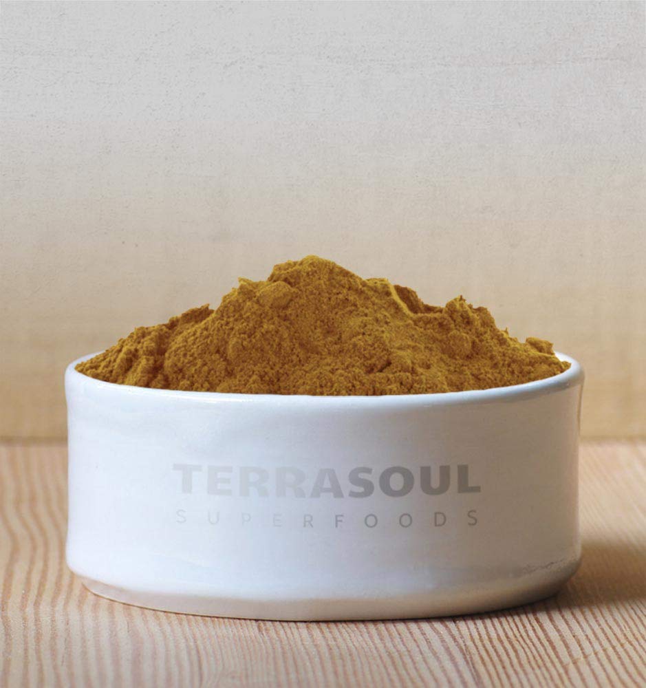 Terrasoul Reishi powder closeup texture with earthy aroma