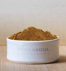 Terrasoul Reishi powder closeup texture with earthy aroma