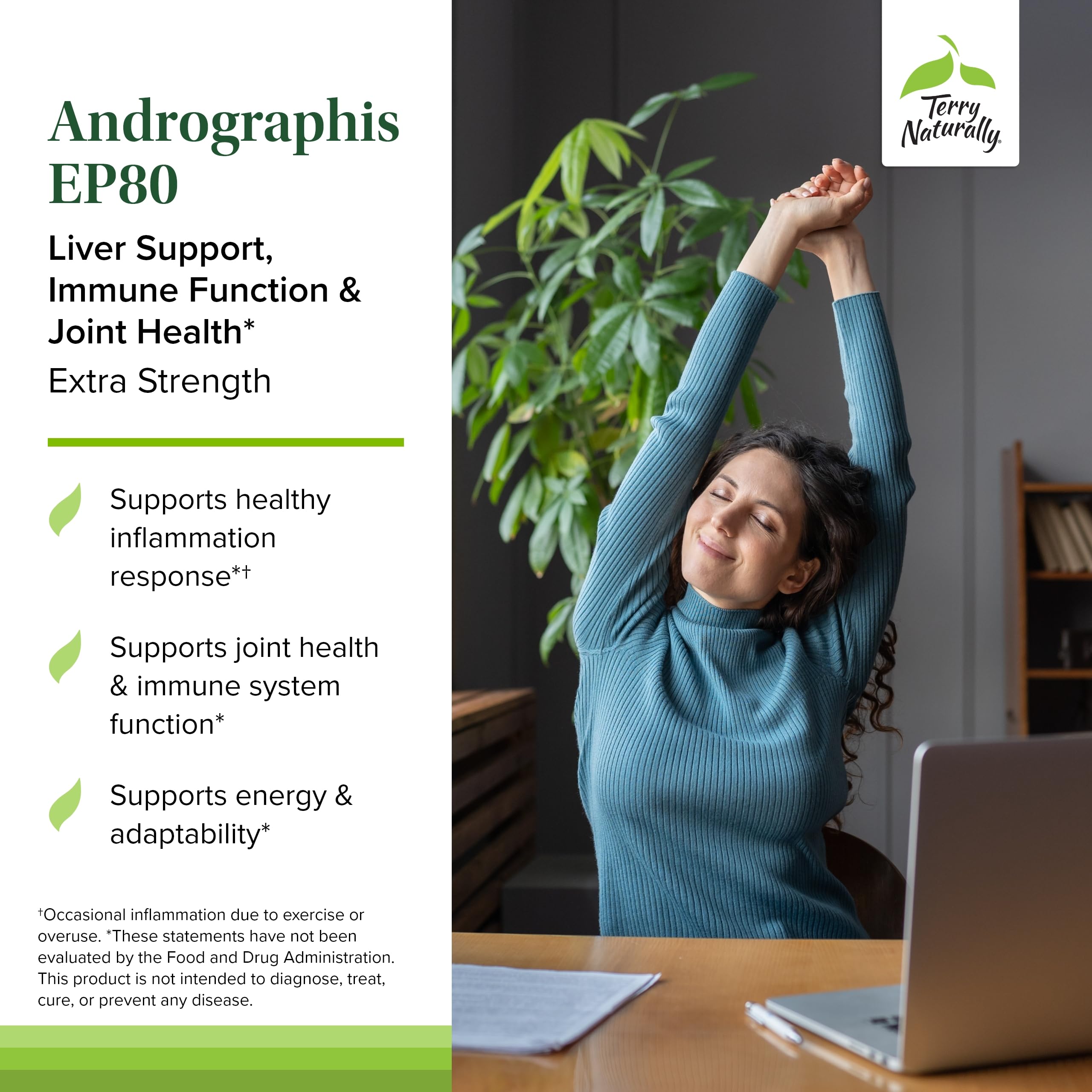 Product label detail emphasizing liver and immune system support for Terry Naturally EP80.