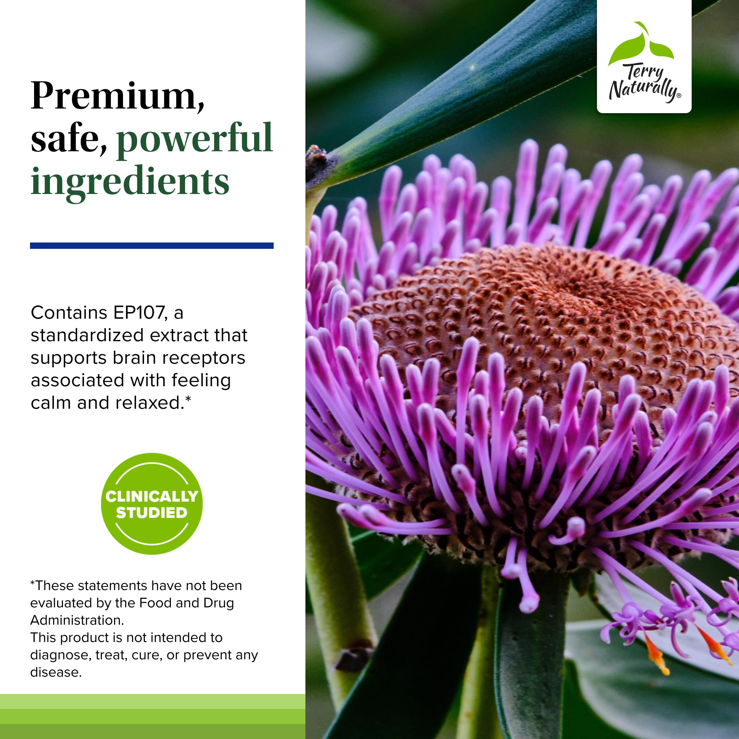 Terry Naturally AnxioCalm packaging back notes cGMP manufacturing and high-quality ingredients.