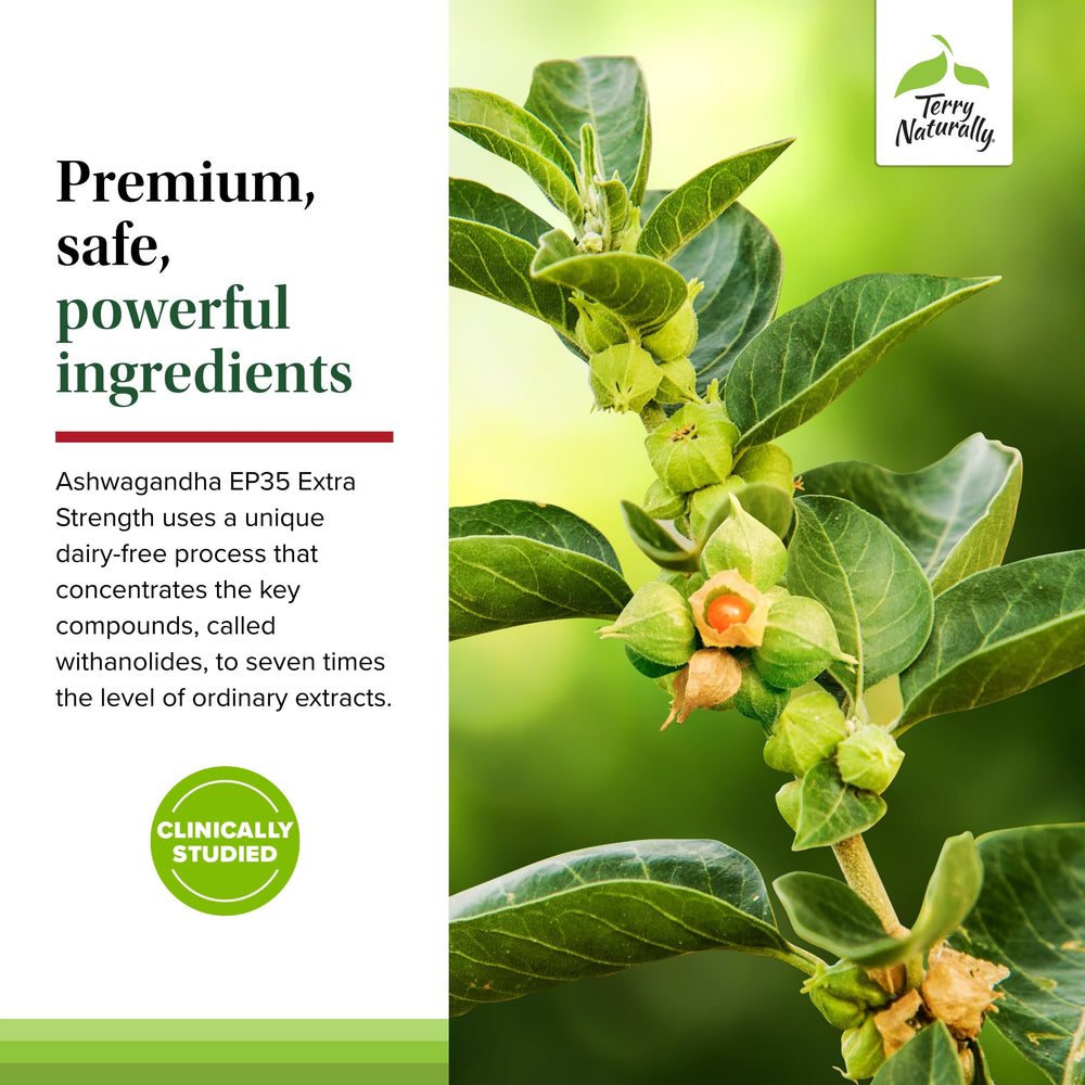 Terry Naturally Ashwagandha EP35 capsules on a daily routine setup.