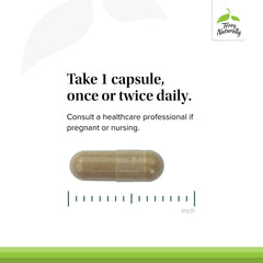 Terry Naturally Ashwagandha EP35 packaging on shelf conveys everyday use.