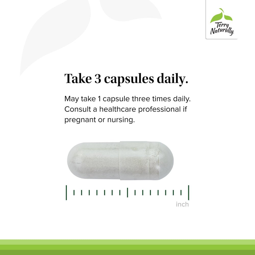 Terry Naturally Be Mobile type II collagen graphic indicating joint structure support.