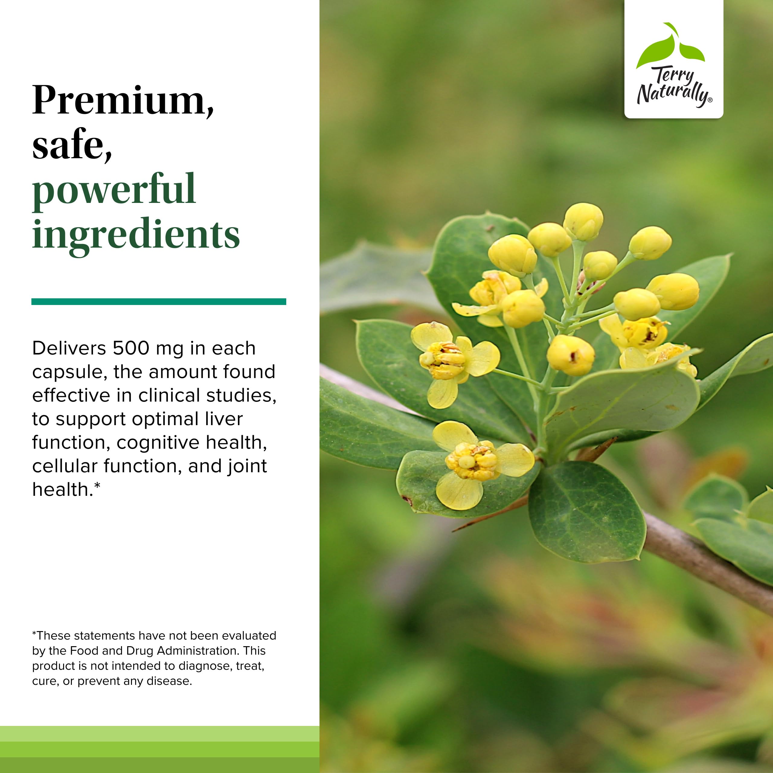 Terry Naturally Berberine label close-up emphasizes clean, additive-free formula.