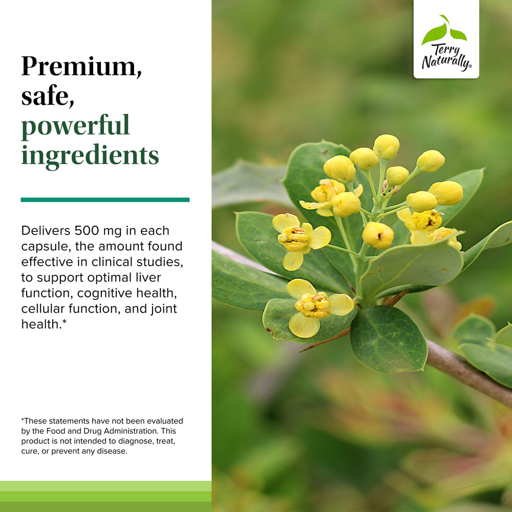 Terry Naturally Berberine label close-up emphasizes clean, additive-free formula.