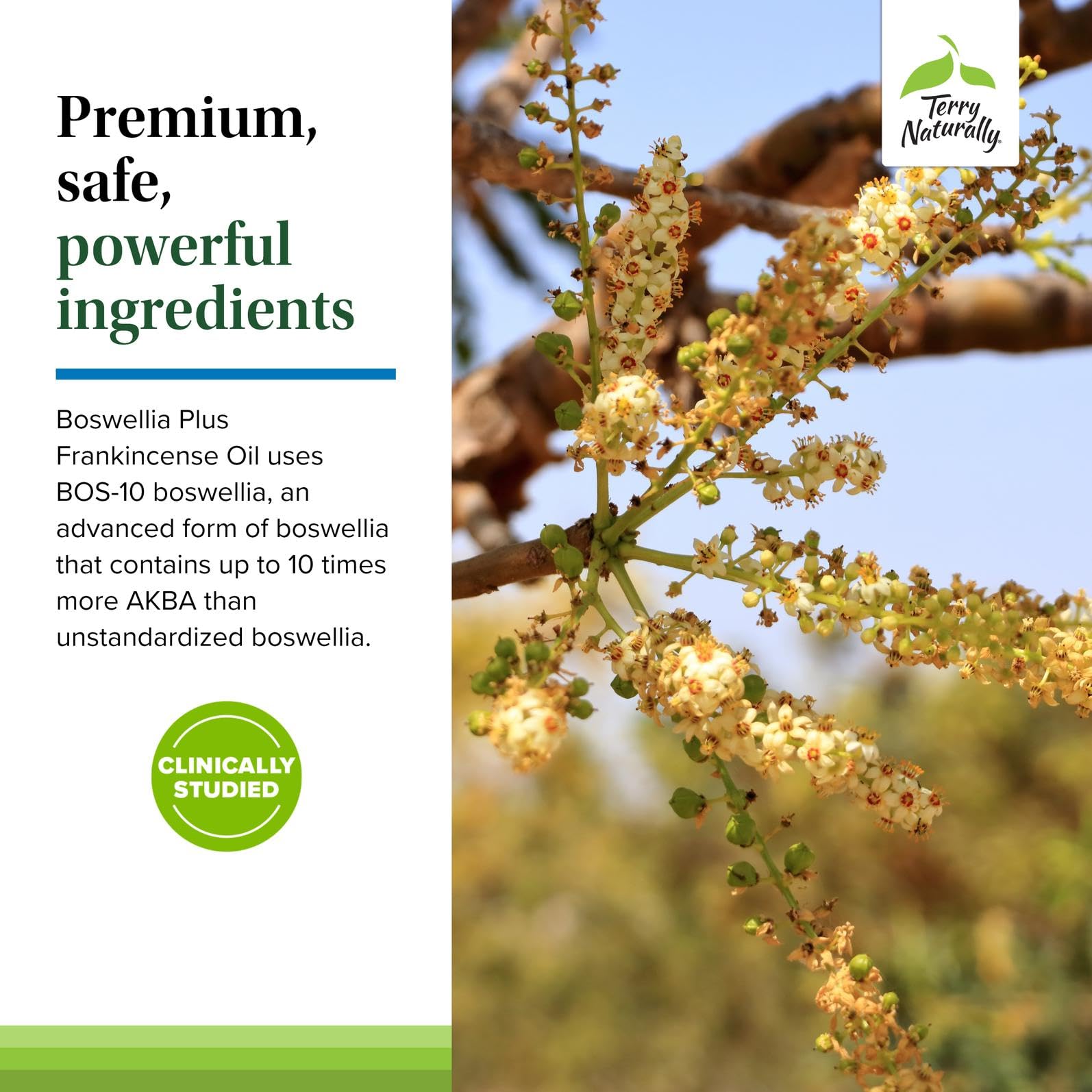 Terry Naturally Boswellia Plus Frankincense Oil label close-up with product details