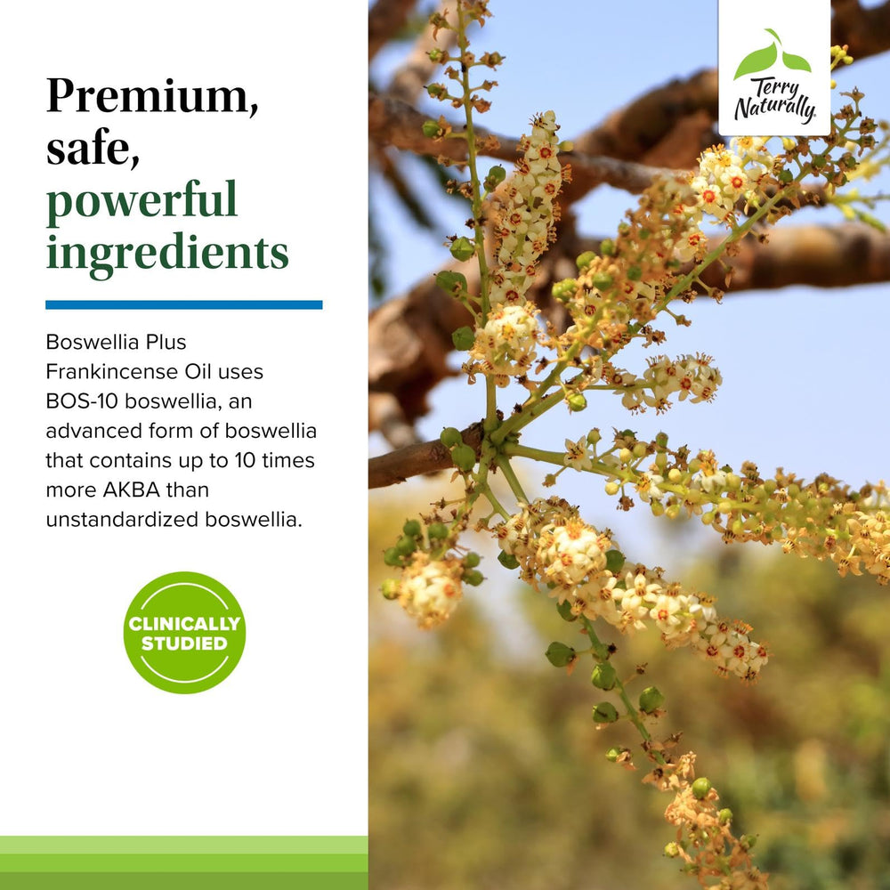 Terry Naturally Boswellia Plus Frankincense Oil label close-up with product details