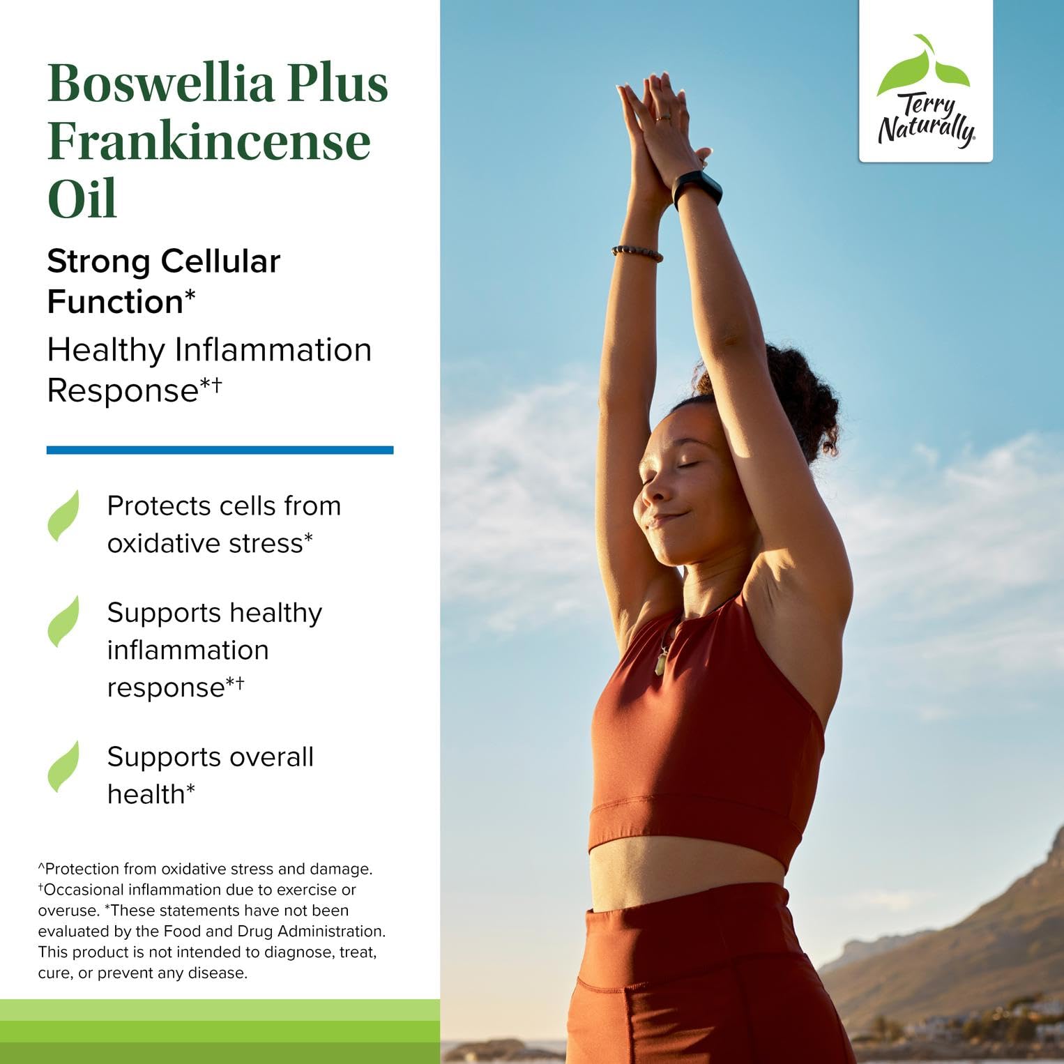 Terry Naturally Boswellia Plus Frankincense Oil packaging highlights clean formula