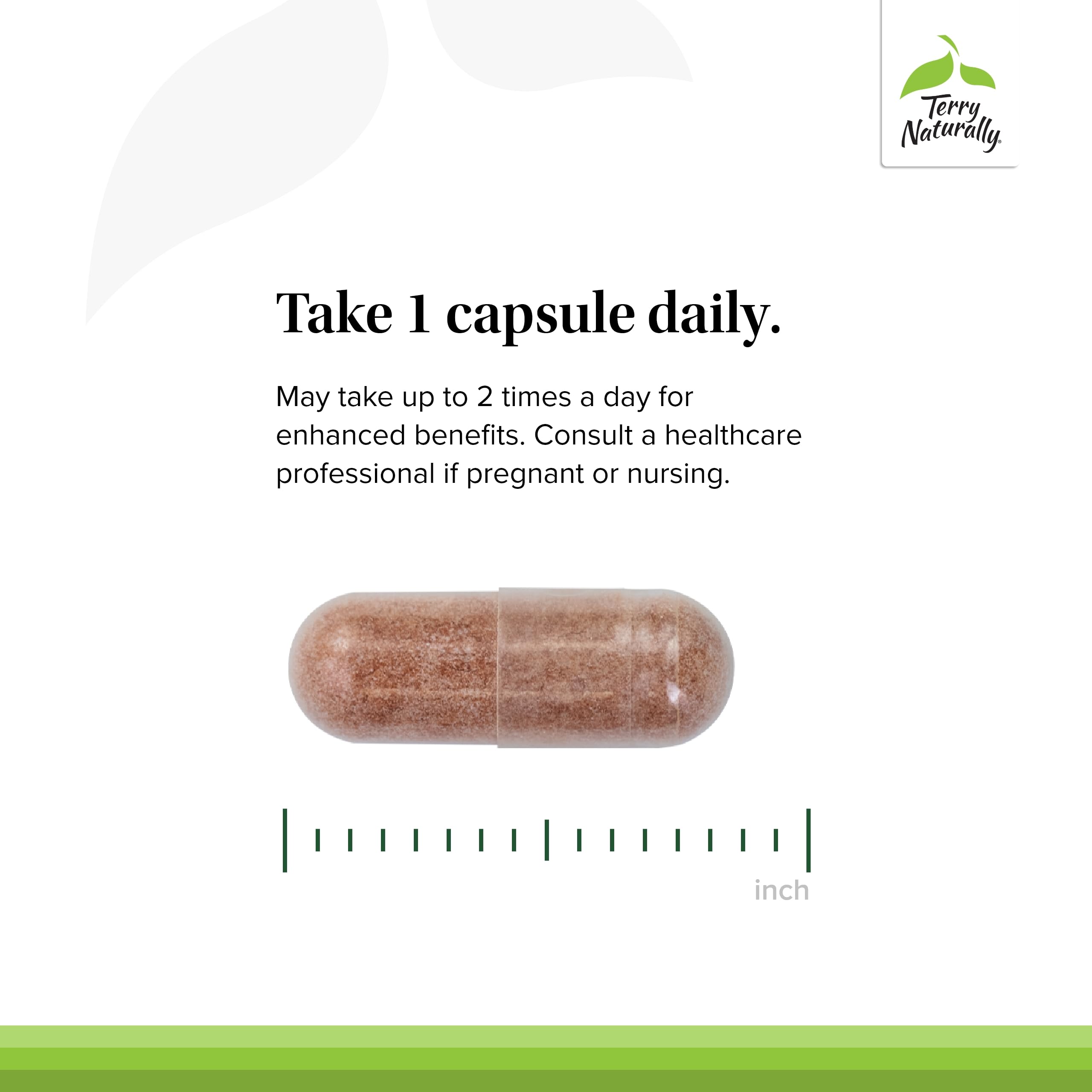 Grape seed OPC visual graphic representing antioxidant-rich blend in Terry Naturally OPC.