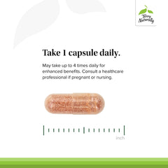 Terry Naturally Clinical OPC immune-heart insight shows a formula with sunflower lecithin