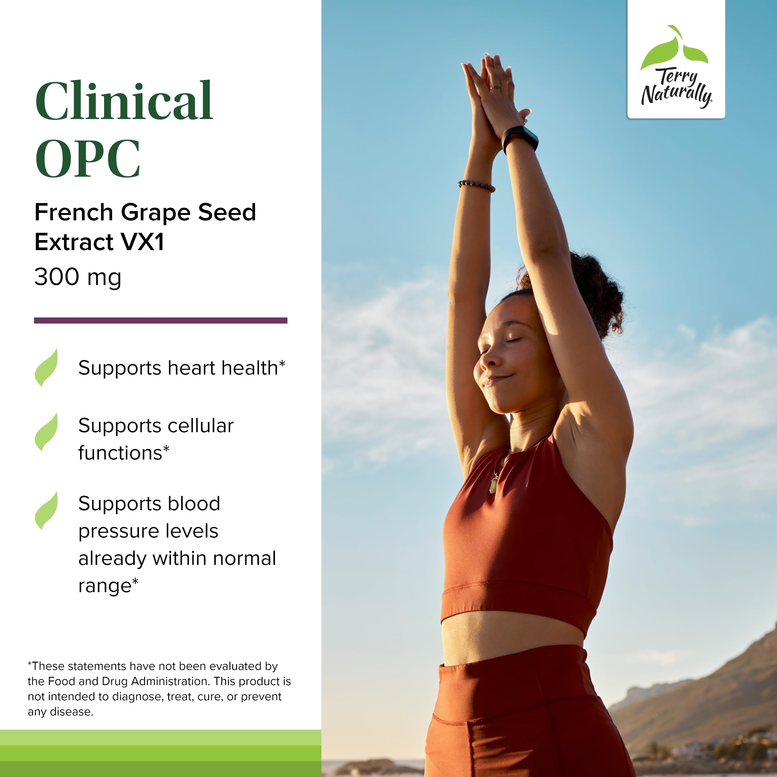 Terry Naturally Clinical OPC softgels closeup emphasizes 300 mg per softgel for potency.