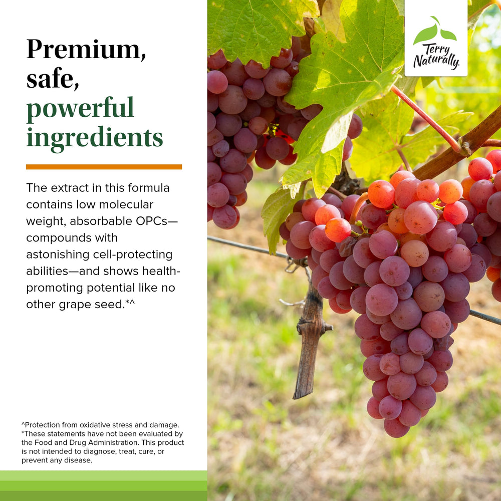 Non-GMO, third-party tested CuraMed seal on packaging.