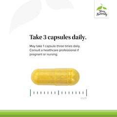 Terry Naturally Curamin Low Back bottle with boswellia illustration.
