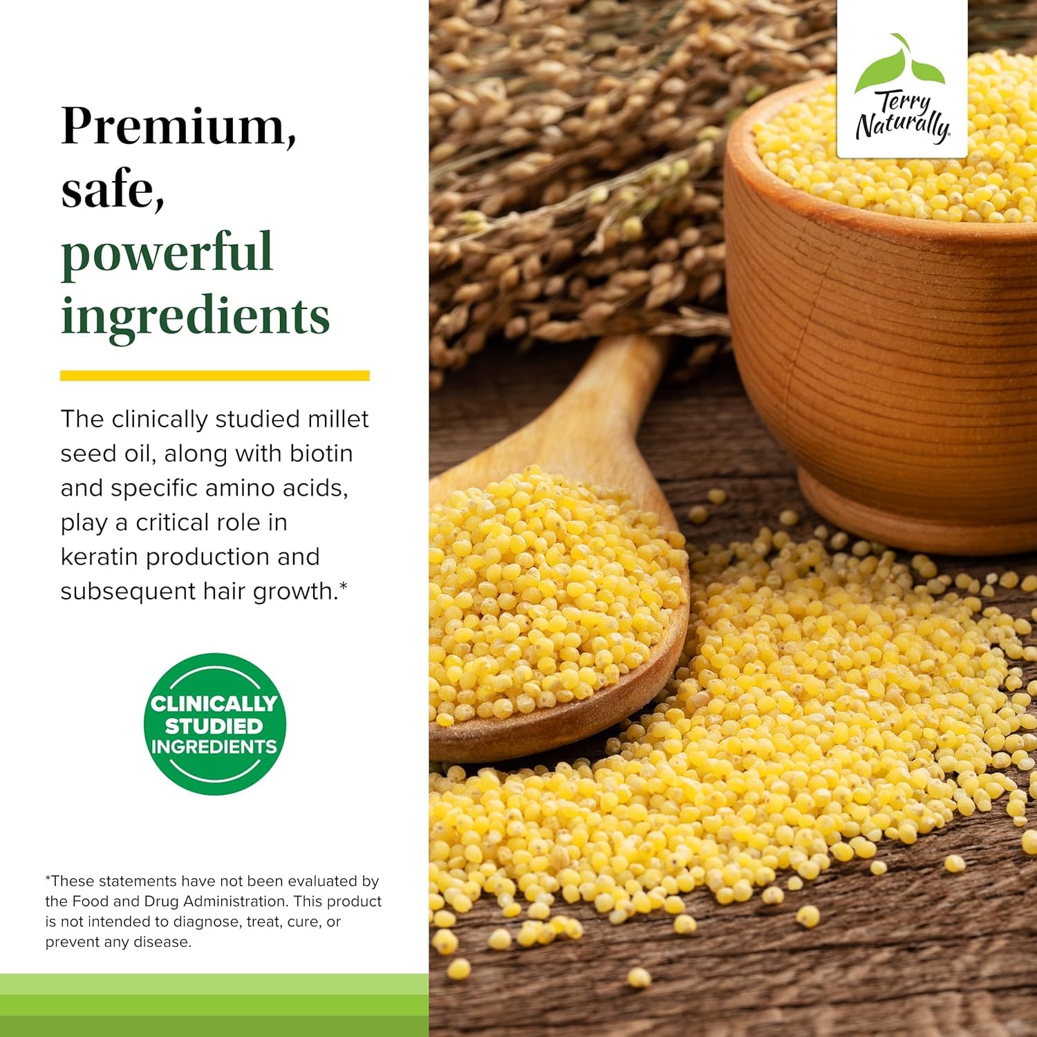 Bundle of Biotin, B vitamins, and zinc ingredients for hair health.