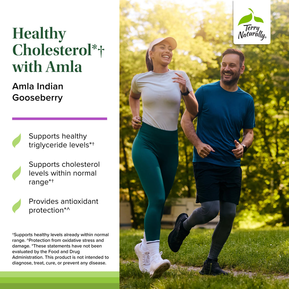 Terry Naturally Healthy Cholesterol with Amla tablet image highlighting antioxidant-rich formula.