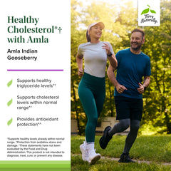 Terry Naturally Healthy Cholesterol with Amla tablet image highlighting antioxidant-rich formula.
