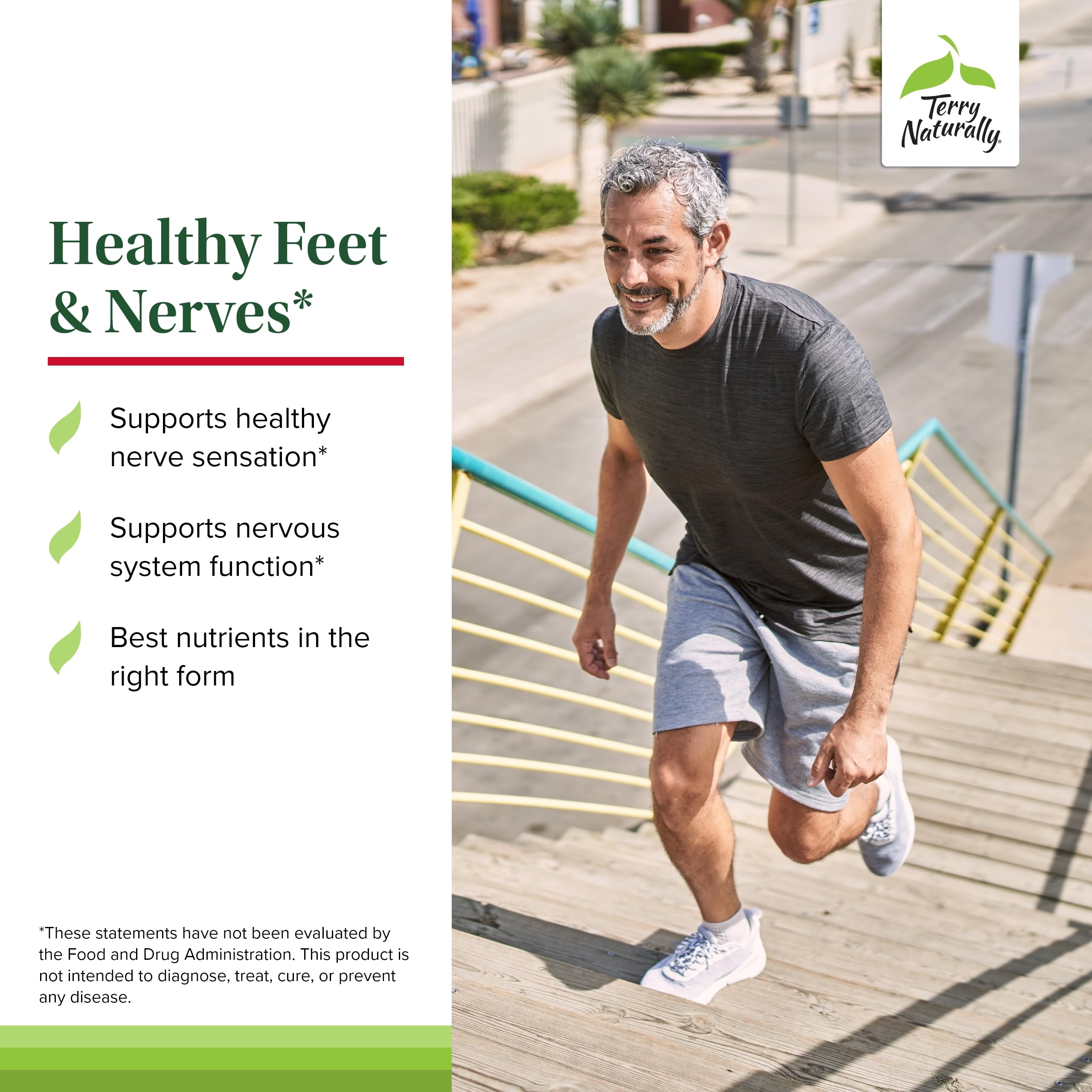 Ingredients scene for Terry Naturally Healthy Feet Nerves showcasing boswellia serrata and B vitamins.