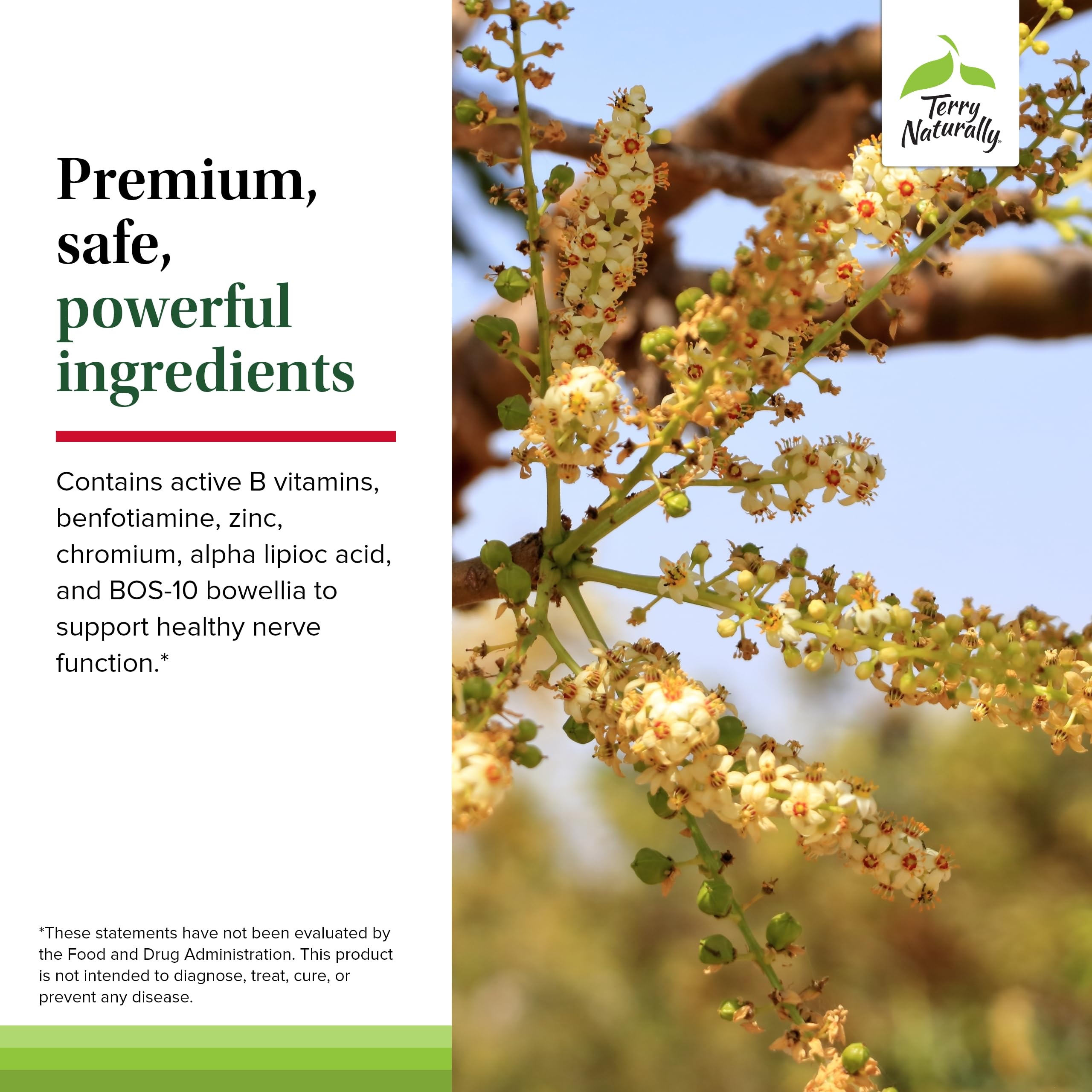 Label detail of Terry Naturally Healthy Feet Nerves emphasizing allergen-free vegan formula.