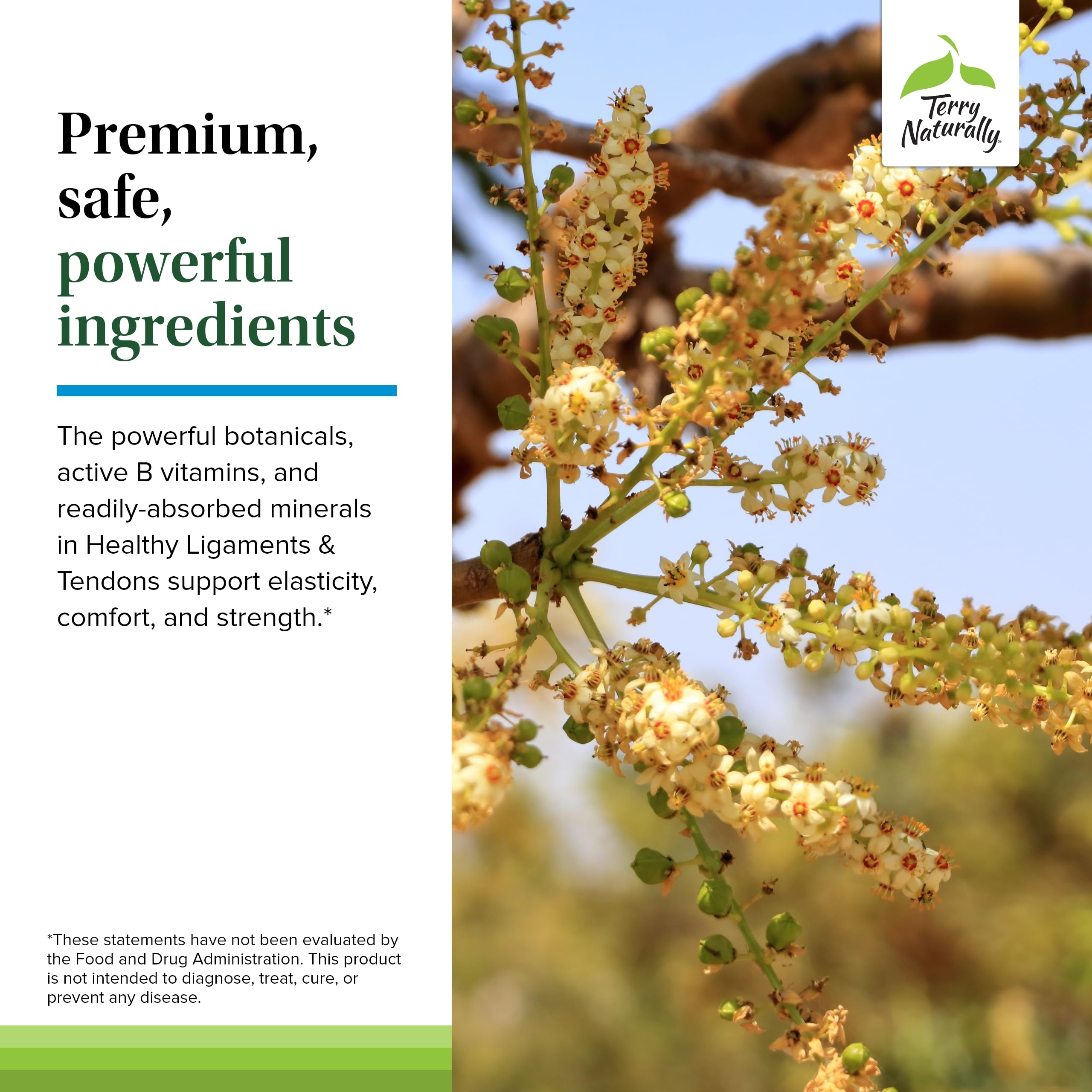 Vegan capsule bottle highlighting active B vitamins for joint health