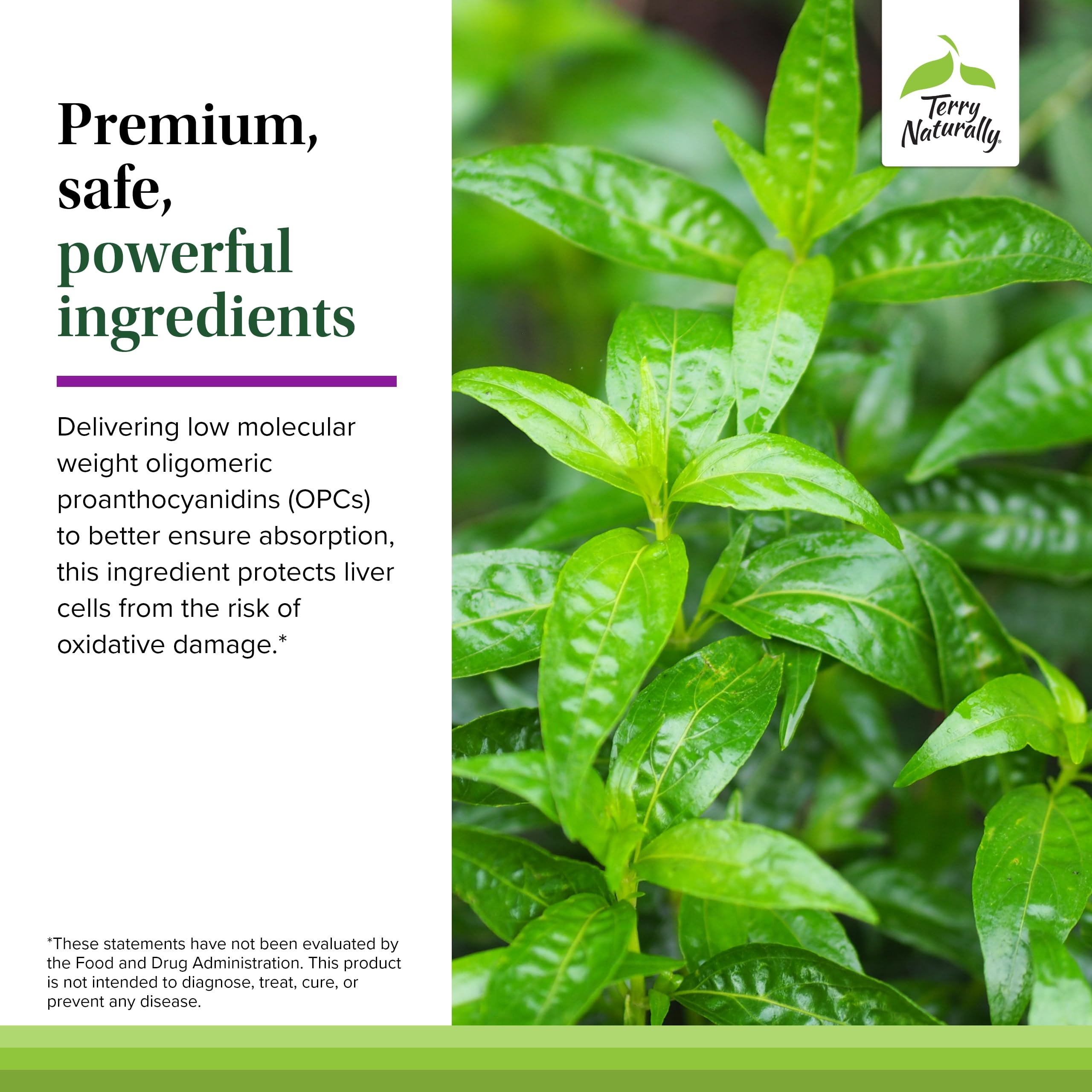 French grape seed extract label and freshness emphasis